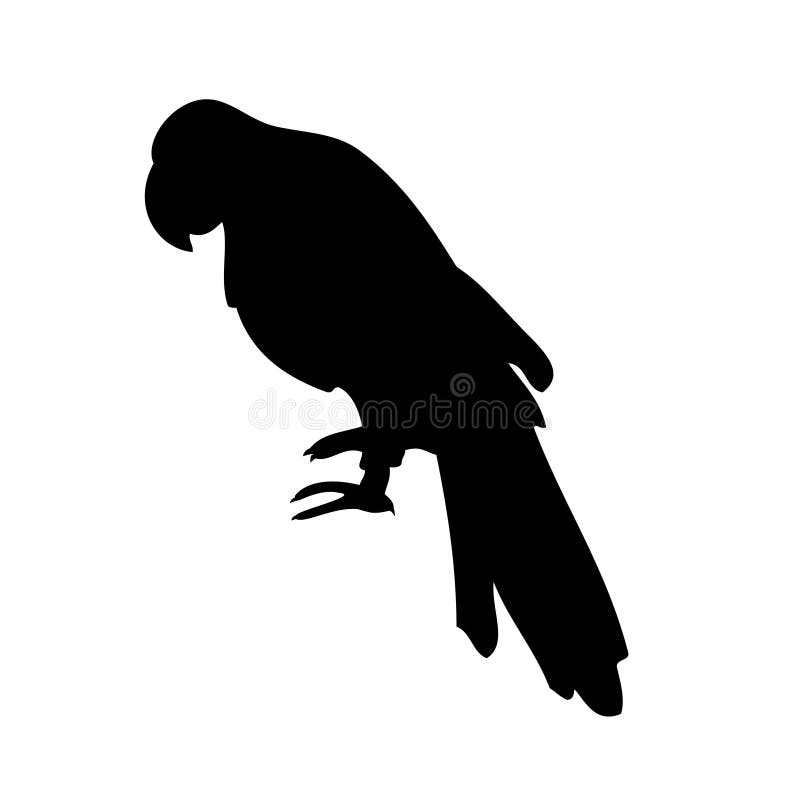 Vectored illustration of parrot as silhouette. Vectored illustration of parrot as silhouette