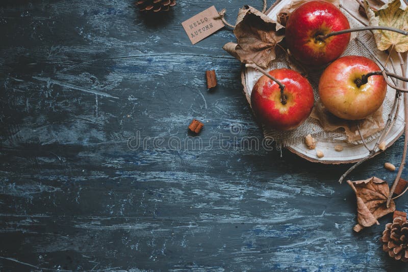 διάστημα αντιγράφων ανασκό&p Εύγευστα μήλα καραμέλας φθινοπώρου με τη διακόσμηση φθινοπώρου, τοπ άποψη στοκ εικόνες διάστημα αντιγράφων ανασκό&p Εύγευστα μήλα καραμέλας φθινοπώρου με τη διακόσμηση φθινοπώρου, τοπ άποψη στοκ εικόνες