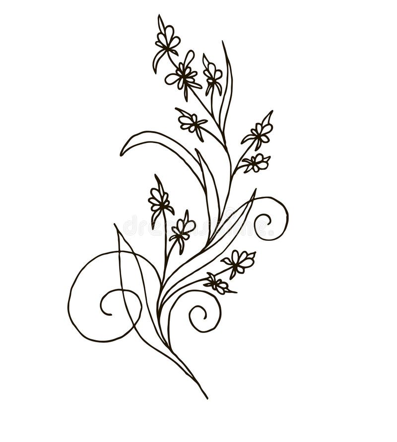 Flowering branch. Graphics. A hand-drawn flower. Graphic drawing vector. Flowering branch. Graphics. A hand-drawn flower. Graphic drawing vector.