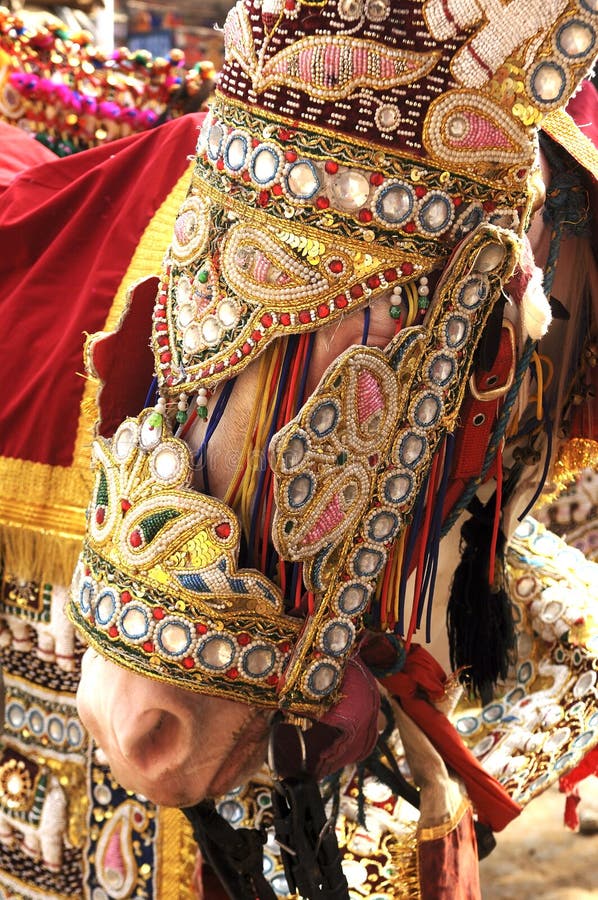 διακοσμημένος γάμος της Ινδίας Jaipur αλόγων