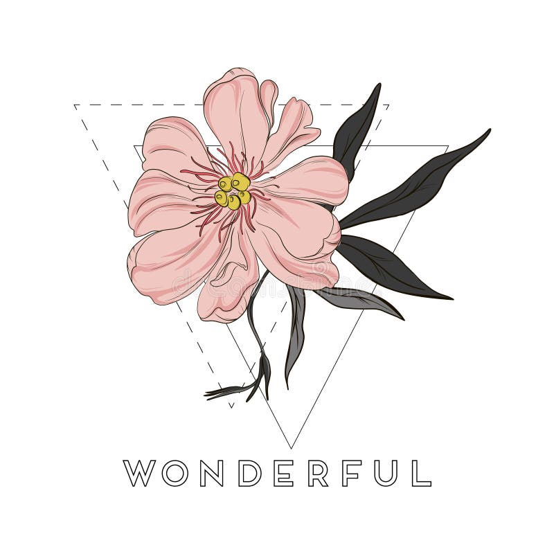 Διανυσματικά hand-drawn peony σχέδια λουλουδιών Όμορφη αφηρημένη απεικόνιση λουλουδιών Συρμένη χέρι floral τέχνη σκίτσων απεικόνιση αποθεμάτων Διανυσματικά hand-drawn peony σχέδια λουλουδιών Όμορφη αφηρημένη απεικόνιση λουλουδιών Συρμένη χέρι floral τέχνη σκίτσων απεικόνιση αποθεμάτων