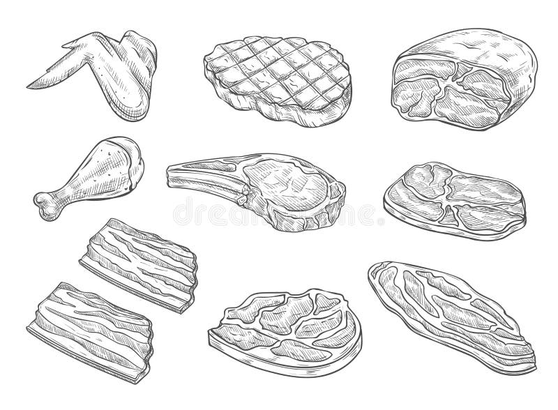 Meat and chicken sketch icons. Vector isolated symbols of fresh or grill chicken leg and wing, pork bacon ham and beef steak sirloin or tenderloin brisket and T-bone steak for barbecue or butcher shop. Meat and chicken sketch icons. Vector isolated symbols of fresh or grill chicken leg and wing, pork bacon ham and beef steak sirloin or tenderloin brisket and T-bone steak for barbecue or butcher shop