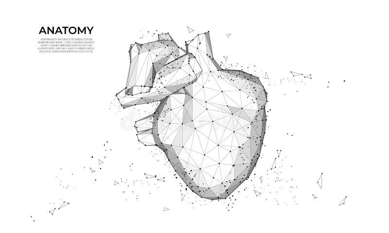 Διανυσματική έννοια wireframe αυτοκινήτων Σπορ αυτοκίνητο Φουτουριστικό έξυπνο αυτοκίνητο Έννοια οχημάτων wireframe Διανυσματικό απεικόνιση αποθεμάτων Διανυσματική έννοια wireframe αυτοκινήτων Σπορ αυτοκίνητο Φουτουριστικό έξυπνο αυτοκίνητο Έννοια οχημάτων wireframe Διανυσματικό απεικόνιση αποθεμάτων