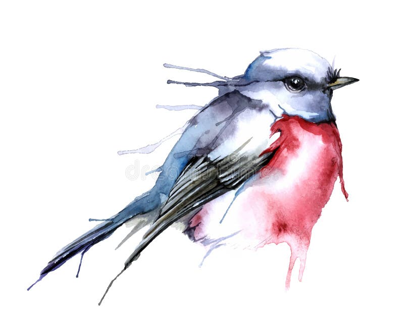 Διανυσματική απεικόνιση ύφους Watercolor του πουλιού απεικόνιση αποθεμάτων Διανυσματική απεικόνιση ύφους Watercolor του πουλιού απεικόνιση αποθεμάτων