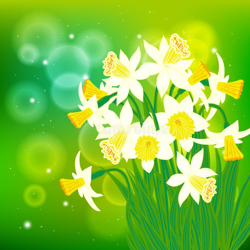 Διανυσματική κάρτα με τα άσπρα daffodils στο φως bokeh απεικόνιση αποθεμάτων Διανυσματική κάρτα με τα άσπρα daffodils στο φως bokeh απεικόνιση αποθεμάτων