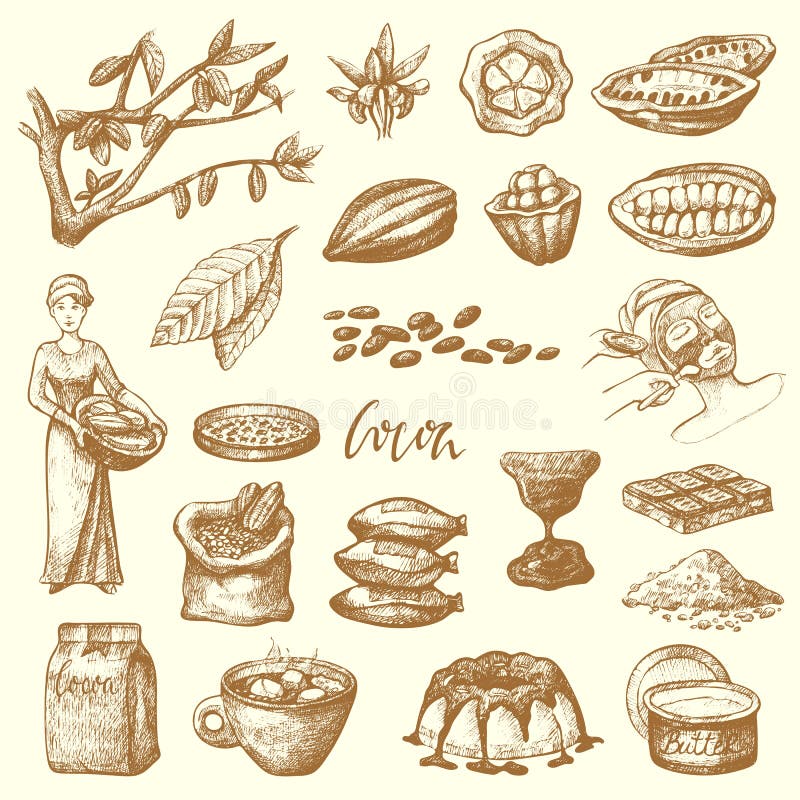 Vector cocoa products hand drawn sketch. Doodle food chocolate sweet cacao illustration. Vintage style plant natural bean ingredient. Organic cacao tropical symbol. Vector cocoa products hand drawn sketch. Doodle food chocolate sweet cacao illustration. Vintage style plant natural bean ingredient. Organic cacao tropical symbol.