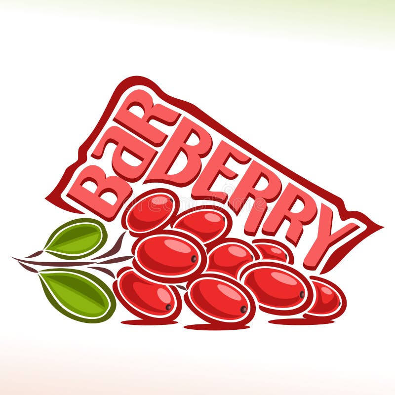 Διανυσματικό λογότυπο για Barberry απεικόνιση αποθεμάτων Διανυσματικό λογότυπο για Barberry απεικόνιση αποθεμάτων