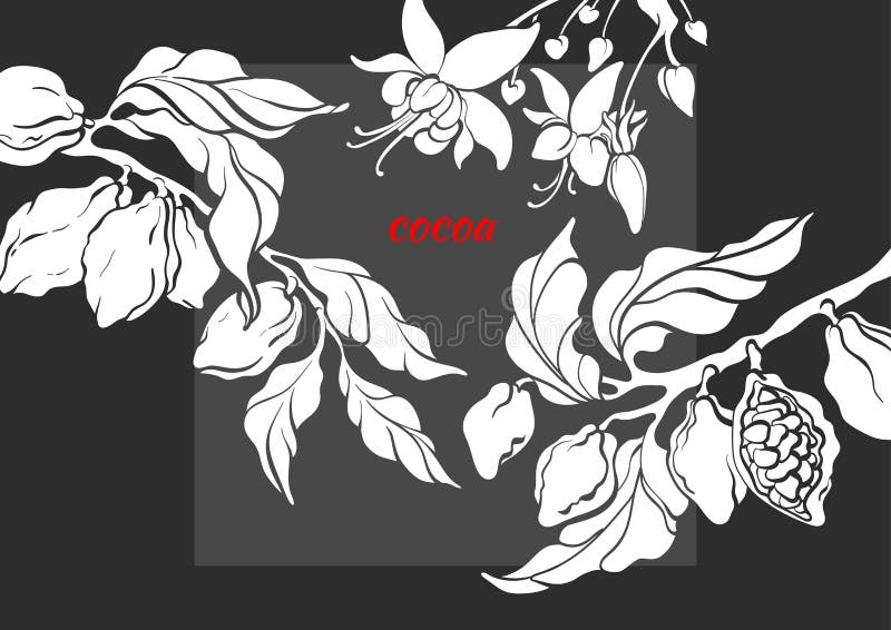 Vector template of cocoa tree branch with leaf, flower and bean. Botanical shape design. Realistic nature banner. Organic sweet, bio chocolate, natural food. Tropical plant, green eco product, garden. Vector template of cocoa tree branch with leaf, flower and bean. Botanical shape design. Realistic nature banner. Organic sweet, bio chocolate, natural food. Tropical plant, green eco product, garden