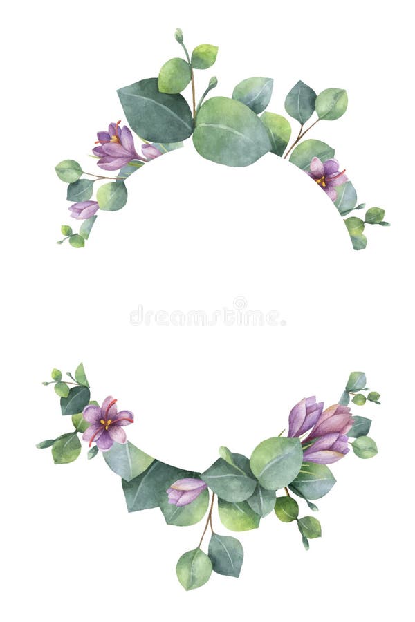 Διανυσματικό στεφάνι Watercolor με τα πράσινα φύλλα ευκαλύπτων, τα πορφυρούς λουλούδια και τους κλάδους ελεύθερη απεικόνιση δικαιώματος