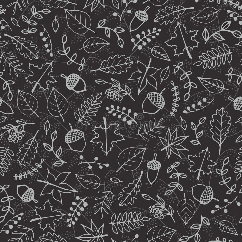 Vector hand drawn pattern with autumn elements contours: foliage, berries and acorns on the dark gray background. Maple, sycamore, birch, beech and oak tree leaves. Chalkboard imitation. Vector hand drawn pattern with autumn elements contours: foliage, berries and acorns on the dark gray background. Maple, sycamore, birch, beech and oak tree leaves. Chalkboard imitation.