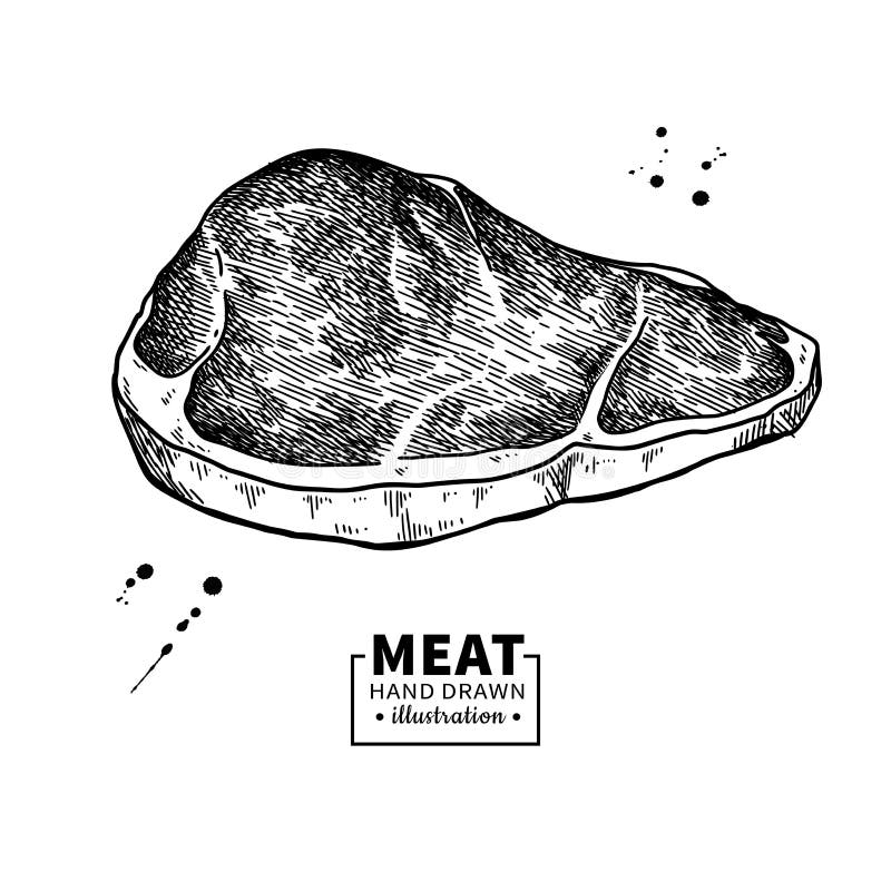 Sirloin steak vector drawing. Red meat hand drawn sketch. Engraved food illustration. Vintage object. Butcher shop product. Great for label, restaurant, barbecue menu. Sirloin steak vector drawing. Red meat hand drawn sketch. Engraved food illustration. Vintage object. Butcher shop product. Great for label, restaurant, barbecue menu