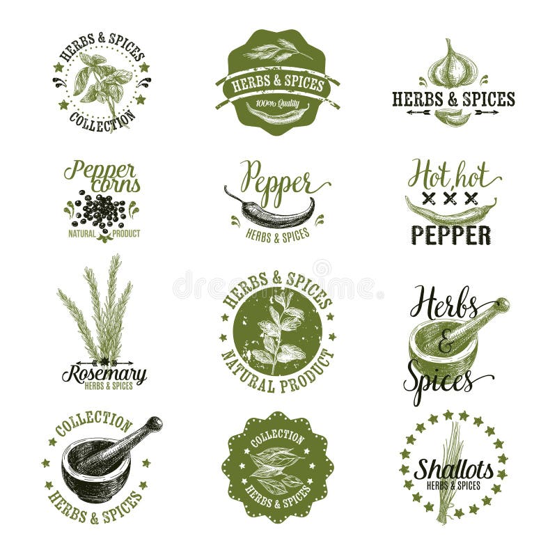 Vector set of herbs and spices labels, badges and hand drawn design elements. Logo collection. Vector set of herbs and spices labels, badges and hand drawn design elements. Logo collection.