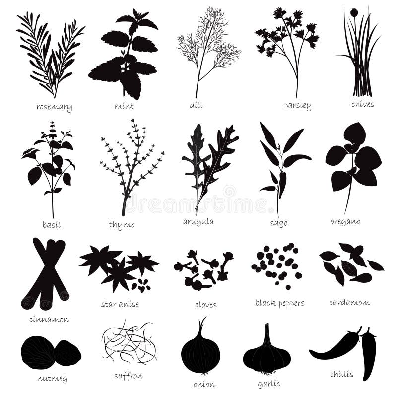 Kind of herbs and spices in black. Kind of herbs and spices in black.