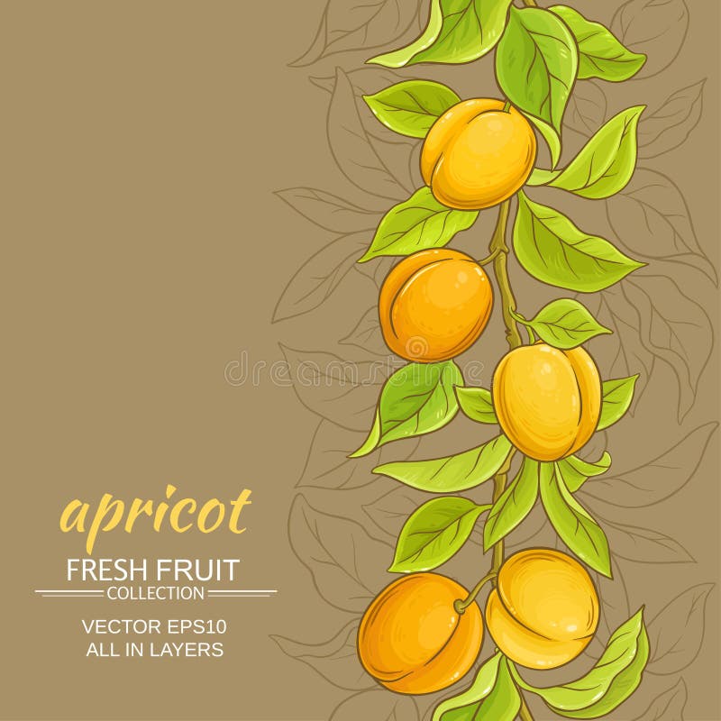 Apricot branches vector pattern on color background. Apricot branches vector pattern on color background