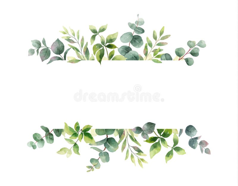 Διανυσματικό χέρι Watercolor που χρωματίζει το οριζόντιο έμβλημα με τα πράσινους φύλλα και τους κλάδους ελεύθερη απεικόνιση δικαιώματος