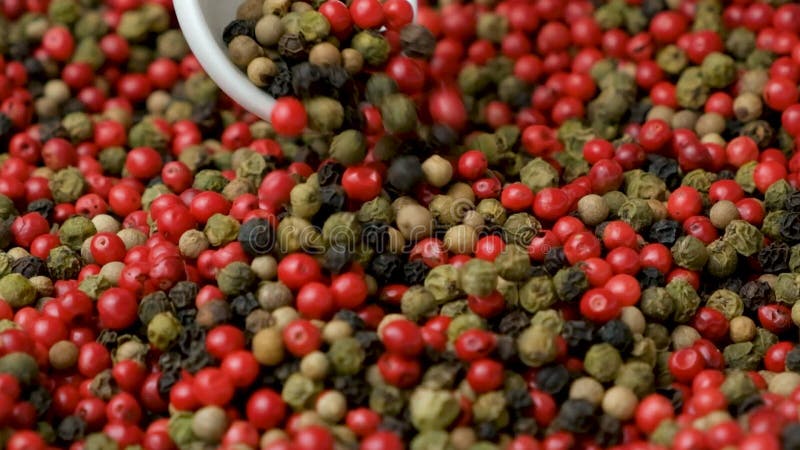 διαφορετικοί τύποι peppercorns που προκαλούν βραδεία κίνηση. κόκκινο πράσινο λευκό και μαύρο πιπέρι. φιλμ μικρού μήκους
