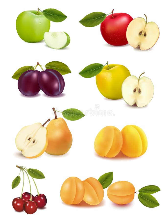 Group with different sorts of fruit. Vector illustration. Group with different sorts of fruit. Vector illustration.