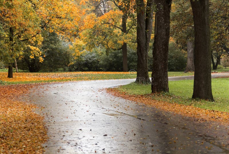 Autumn in old Park in Saint-Petersburg. Autumn in old Park in Saint-Petersburg