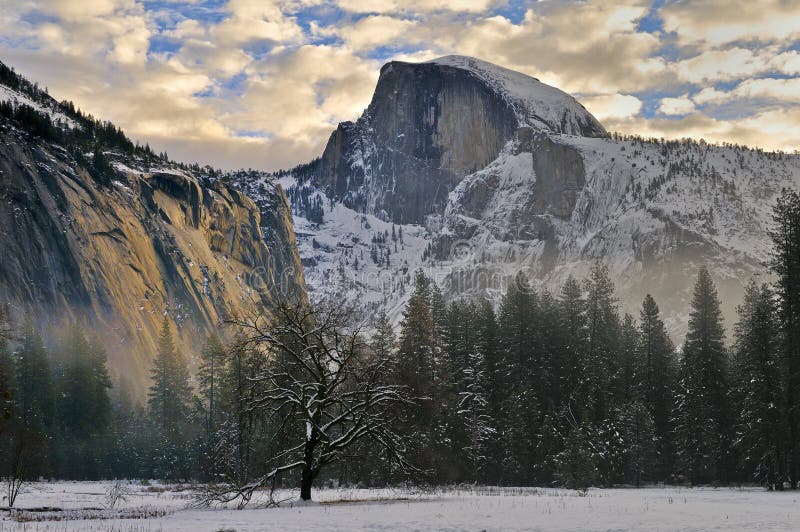 Δρύινος και μισός θόλος, εθνικό πάρκο Yosemite στοκ φωτογραφία με δικαίωμα ελεύθερης χρήσης Δρύινος και μισός θόλος, εθνικό πάρκο Yosemite στοκ φωτογραφία με δικαίωμα ελεύθερης χρήσης