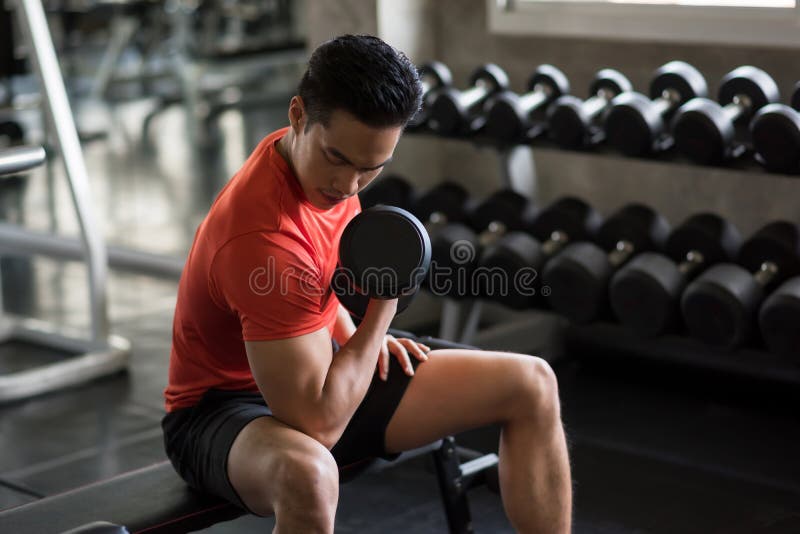 Muscle Asian handsome bodybuilder exercise biceps with heavy dumbbells near ftiness gym shelf. Muscular body sportsman in sport fitness center. Bodybuilding and healthy lifestyle. Muscle Asian handsome bodybuilder exercise biceps with heavy dumbbells near ftiness gym shelf. Muscular body sportsman in sport fitness center. Bodybuilding and healthy lifestyle