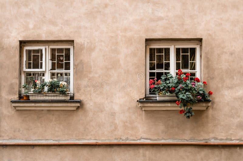 Δύο παράθυρα με τα λουλούδια στο windowsill στο παλαιό φως οικοδόμησης στοκ εικόνες Δύο παράθυρα με τα λουλούδια στο windowsill στο παλαιό φως οικοδόμησης στοκ εικόνες
