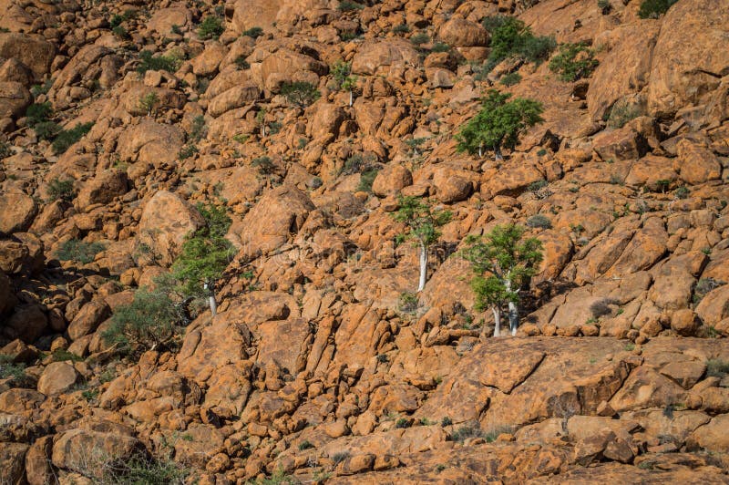 Rocky Mountain Wall with Trees near Solitaire in Namibia. Rocky Mountain Wall with Trees near Solitaire in Namibia