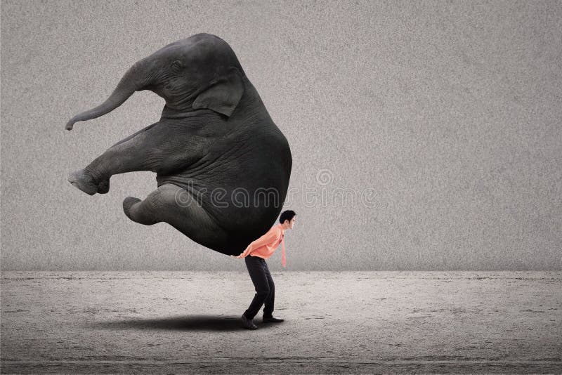 Business leader lifting big elephant on grey background. Business leader lifting big elephant on grey background