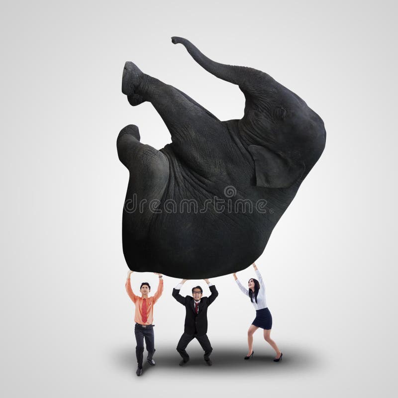 Business team is lifting heavy elephant on white background. Business team is lifting heavy elephant on white background