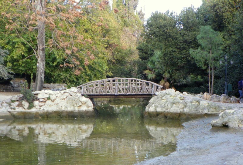 εθνική αθήνα. εθνική κήπος αθηνών ξύλινη γέφυρα κατά μήκος της λίμνης 24112017