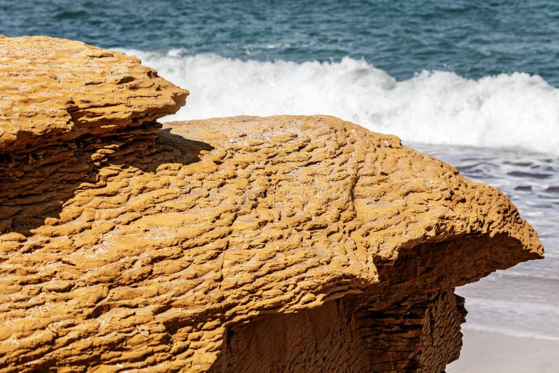 Εθνική κεντρική τράπεζα του Περού (paracas national reserve) στοκ εικόνα