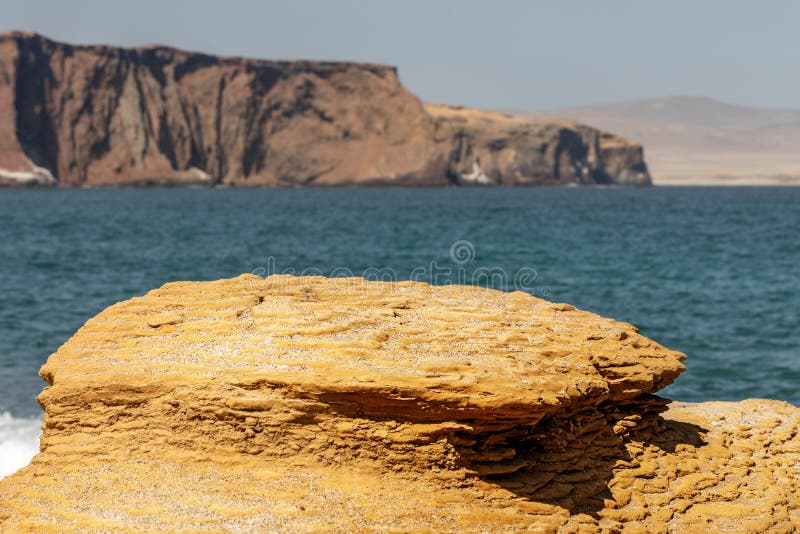 Εθνική κεντρική τράπεζα του Περού (paracas national reserve) στοκ φωτογραφία με δικαίωμα ελεύθερης χρήσης