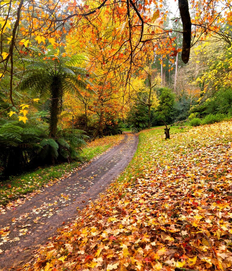 Autumn on the country road Australia. Autumn on the country road Australia