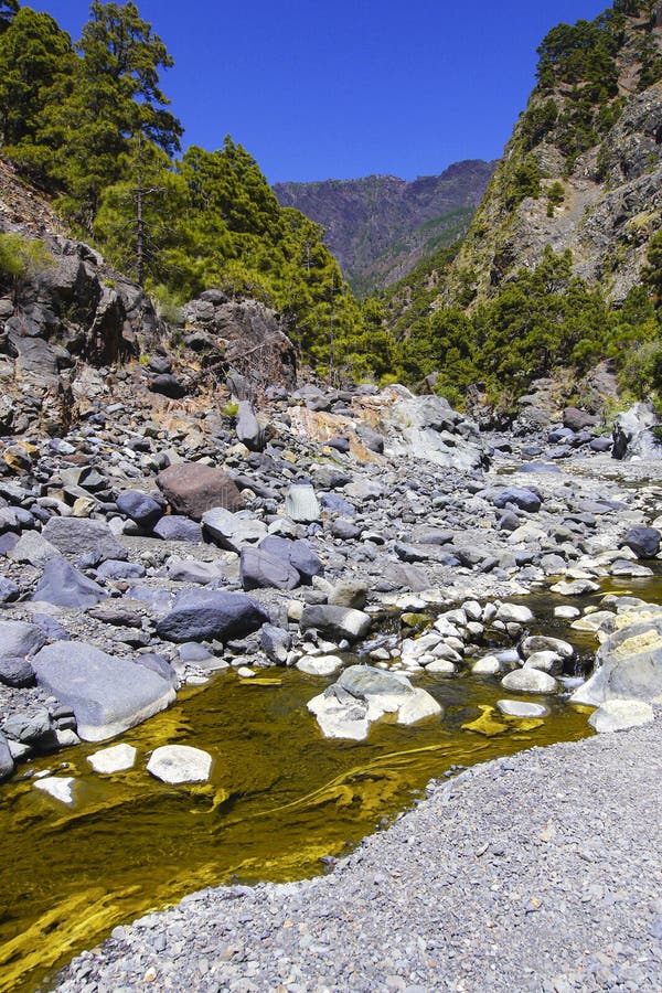 Εθνικό πάρκο Barranco de las Angustias Caldera de Taburiente Ισπανία στοκ φωτογραφία