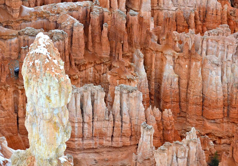 Bryce Canyon National Park with snow, USA. Bryce Canyon National Park with snow, USA