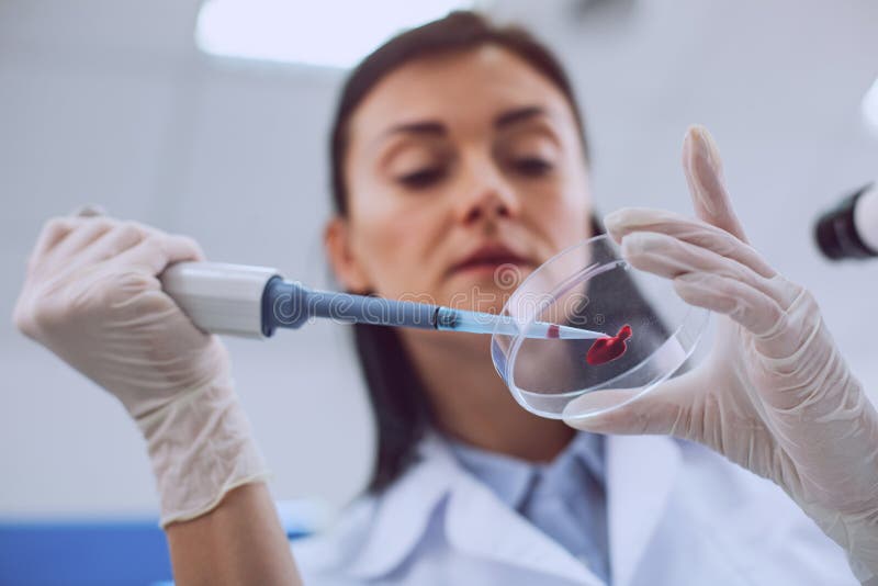 Ειδικευμένος ερευνητής που κάνει μια εξέταση αίματος στοκ εικόνα