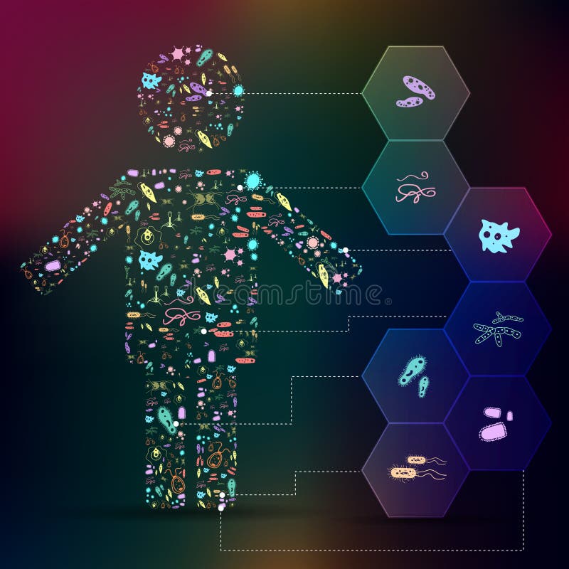 Germ and pathogen icon in human shape infographic background layout for health or biology education representing human disease such as virus, bacteria, fungus, amoeba, Protozoa, worm and other parasites, create by vector. Germ and pathogen icon in human shape infographic background layout for health or biology education representing human disease such as virus, bacteria, fungus, amoeba, Protozoa, worm and other parasites, create by vector