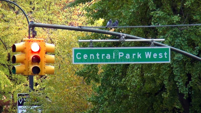 Εικονικές παραστάσεις πόλης των δυτικών ΗΠΑ του Central Park σημαδιών οδών