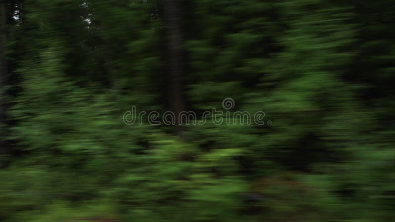 εικόνα αυτοκινήτου καλοκαίρι δάσος γρήγορο φόντο θαμπώματος κίνησης