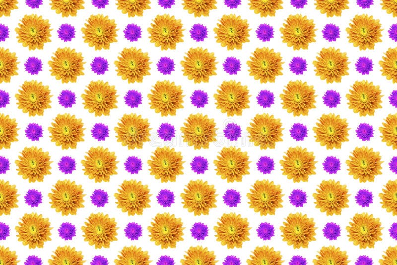 εικόνα μοτίβου του λουλουδιού chrysanthemum σε λευκό φόντο στοκ φωτογραφίες με δικαίωμα ελεύθερης χρήσης