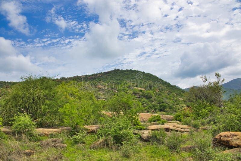 εικόνες τοπίου από το εθνικό πάρκο tsavo ανατολικά tsavo δυτικά και amboseli στοκ φωτογραφία με δικαίωμα ελεύθερης χρήσης