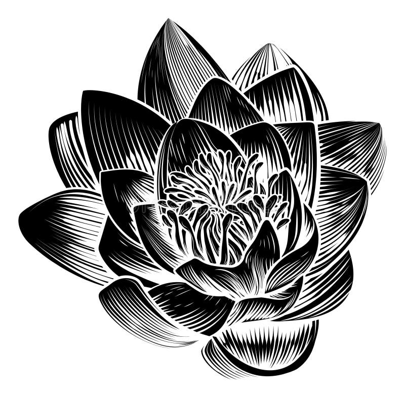 Εκλεκτής ποιότητας λουλούδι Lotus κρίνων νερού ύφους ελεύθερη απεικόνιση δικαιώματος Εκλεκτής ποιότητας λουλούδι Lotus κρίνων νερού ύφους ελεύθερη απεικόνιση δικαιώματος