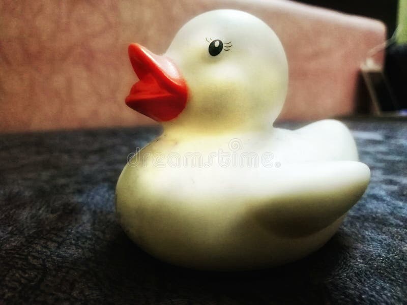 Εκτυφλωτικό λουτρό Ducky ασφάλειας στοκ εικόνα Εκτυφλωτικό λουτρό Ducky ασφάλειας στοκ εικόνα