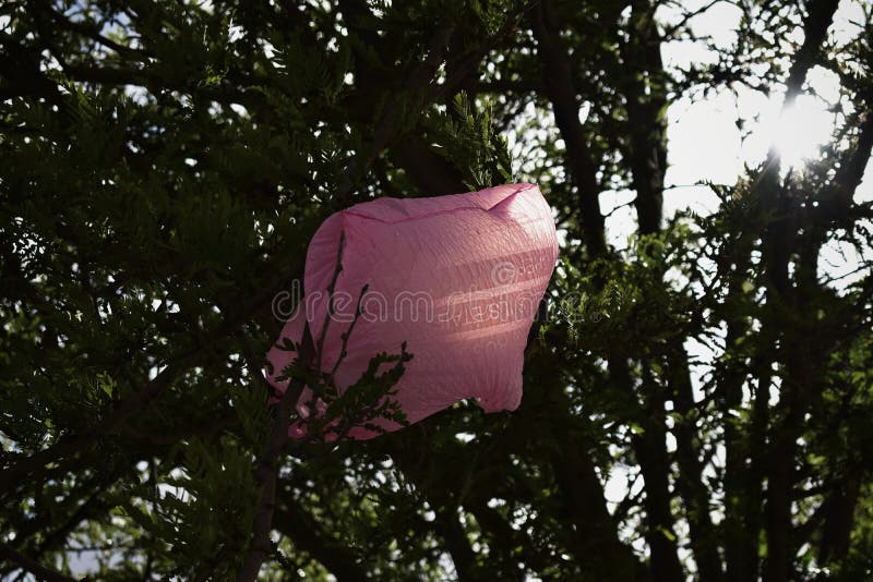 Εκτός από τη γη στοκ φωτογραφία με δικαίωμα ελεύθερης χρήσης Εκτός από τη γη στοκ φωτογραφία με δικαίωμα ελεύθερης χρήσης