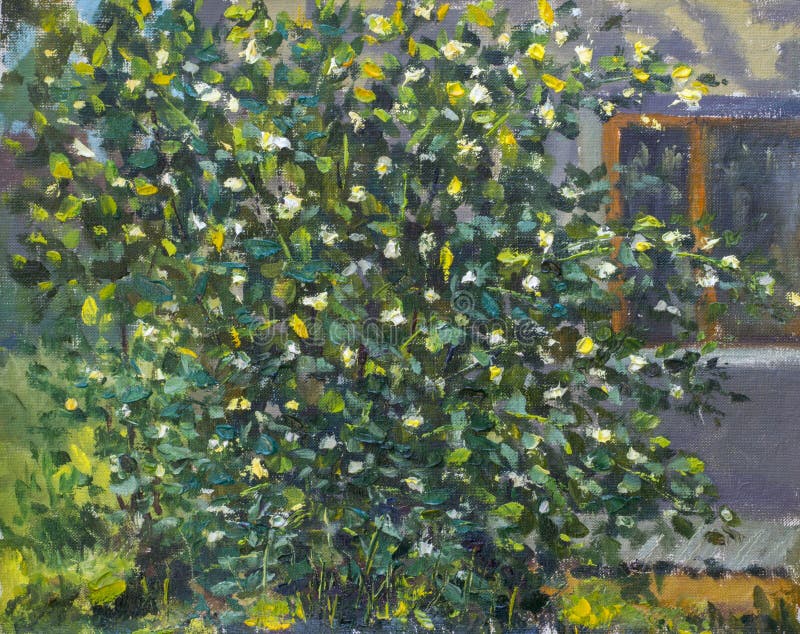 Texture oil painting on canvas Green flowering bush of jasmine near house illustration artwork art nature landscape. Texture oil painting on canvas Green flowering bush of jasmine near house illustration artwork art nature landscape