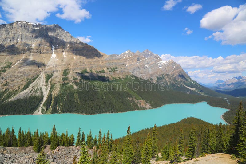 Εναέρια άποψη της λίμνης Peyto στο εθνικό πάρκο Banff, Αλμπέρτα, Καναδάς στοκ εικόνα με δικαίωμα ελεύθερης χρήσης Εναέρια άποψη της λίμνης Peyto στο εθνικό πάρκο Banff, Αλμπέρτα, Καναδάς στοκ εικόνα με δικαίωμα ελεύθερης χρήσης