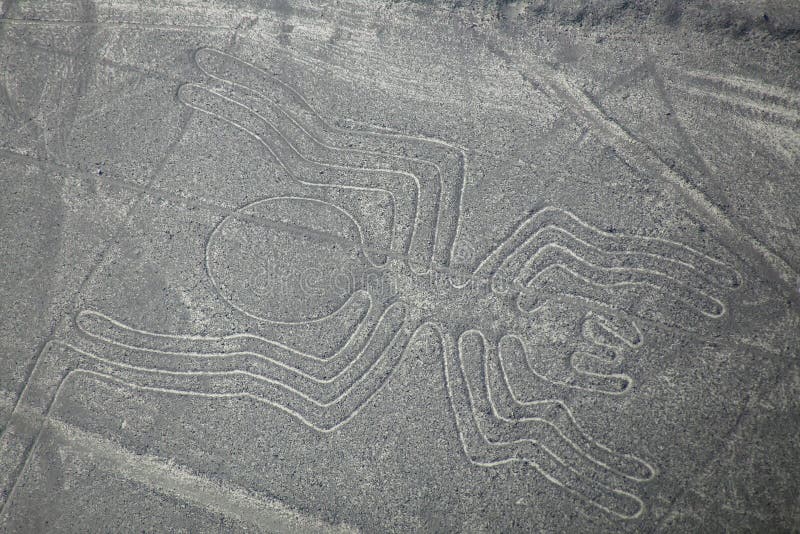 Εναέρια άποψη των γραμμών Nazca - αράχνη geoglyph, Περού στοκ εικόνες