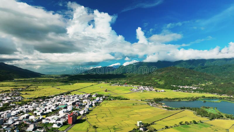 Εναέρια άποψη των όμορφων ορυζώνες Chihshang Township Ταϊβάν φιλμ μικρού μήκους