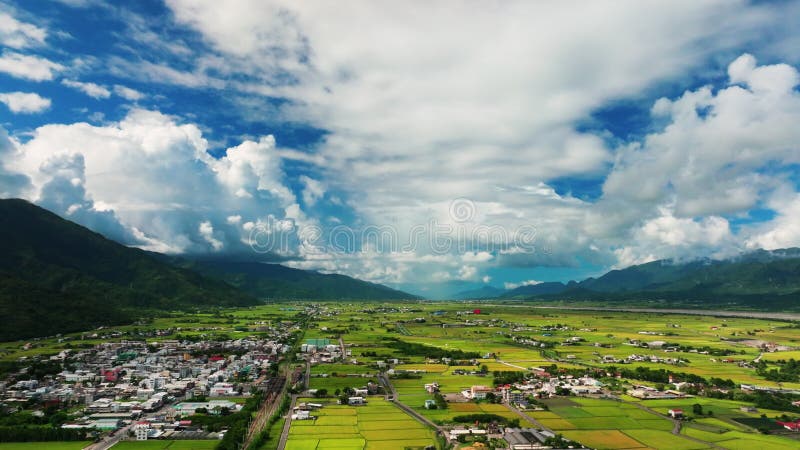Εναέρια άποψη των όμορφων ορυζώνες Guanshan Township Ταϊβάν φιλμ μικρού μήκους