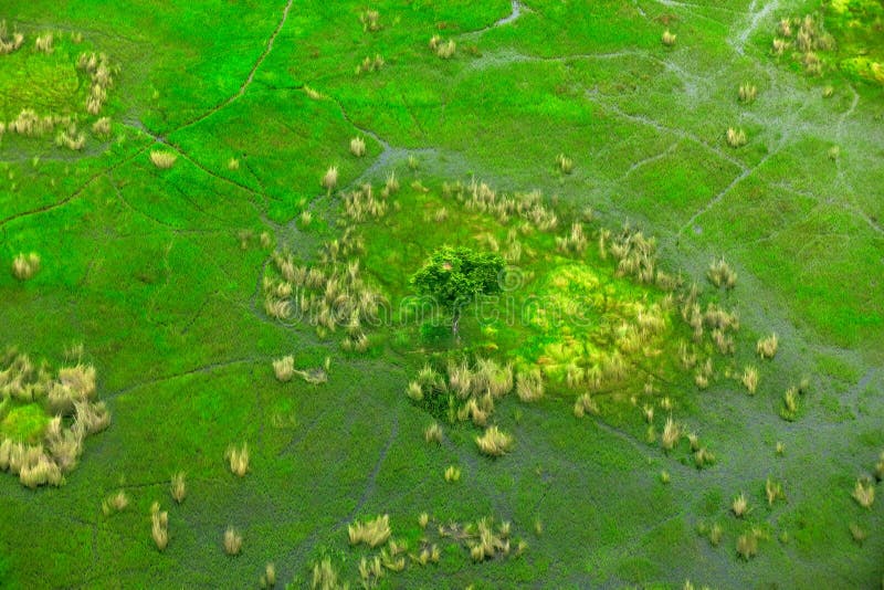 Εναέριο τοπίο στο δέλτα Okavango, Μποτσουάνα Λίμνες και ποταμοί, άποψη από το αεροπλάνο Πράσινη βλάστηση στη Νότια Αφρική Δέντρα στοκ εικόνα Εναέριο τοπίο στο δέλτα Okavango, Μποτσουάνα Λίμνες και ποταμοί, άποψη από το αεροπλάνο Πράσινη βλάστηση στη Νότια Αφρική Δέντρα στοκ εικόνα