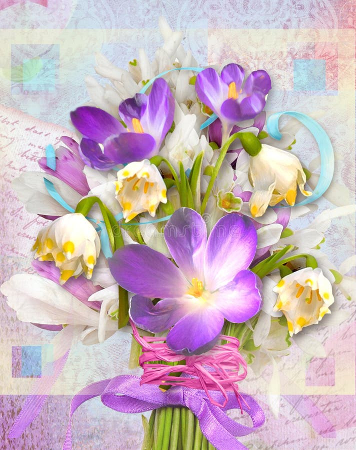 Εορταστική κάρτα άνοιξη με primroses και τους κρόκους λουλουδιών διανυσματική απεικόνιση Εορταστική κάρτα άνοιξη με primroses και τους κρόκους λουλουδιών διανυσματική απεικόνιση